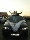 Інна Власюк фотография #4 (источник - https://vk.com/id71128579)