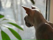 Фотография Кочетковой Елены