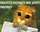 Саня Каледін фотография #8 (источник - https://vk.com/id158033754)
