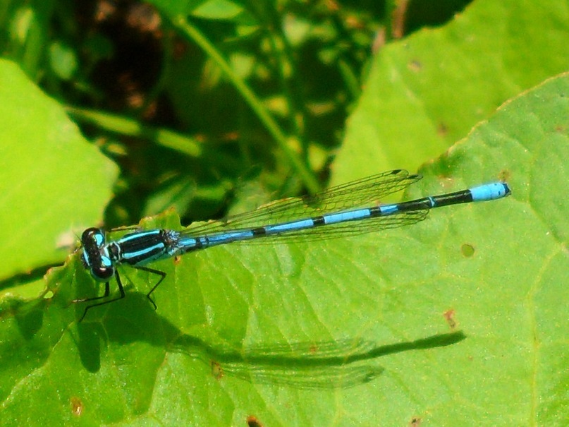 Наталья Мальцева фотография #11