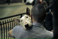 Иван Томсон фотография #24 (источник - https://vk.com/id16911902)