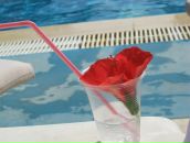 Фотография Volkova Ирины