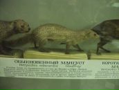 Фотография Музыки Сергея