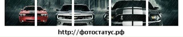 Віталік Охотницький фотография #15 (источник - https://vk.com/id98625522)