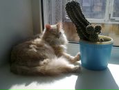 Фотография Chigvinceva Танюшки