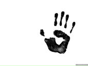 Фотография Зуева Сергея