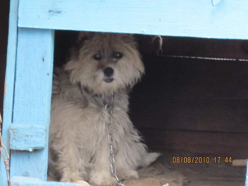 Сергей Плоденко фотография #49