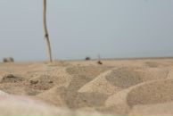 Володя Меч фотография #5 (источник - https://vk.com/id1390902)