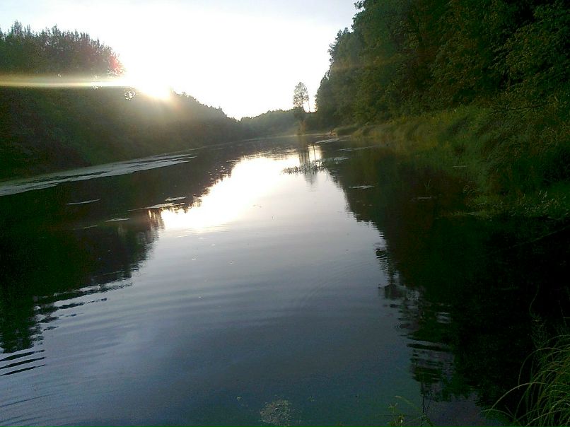 Андрей Пушкарев фотография #17