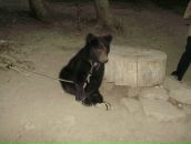 Юрій Мисак фотография #3 (источник - https://vk.com/id138016106)