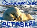 Дімон Бажан фотография #17 (источник - https://vk.com/id133519905)