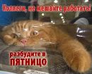 Діма Доменюк фотография #6 (источник - https://vk.com/id151110776)