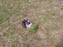 Ірунька Куклишин фотография #37 (источник - https://vk.com/id160370833)