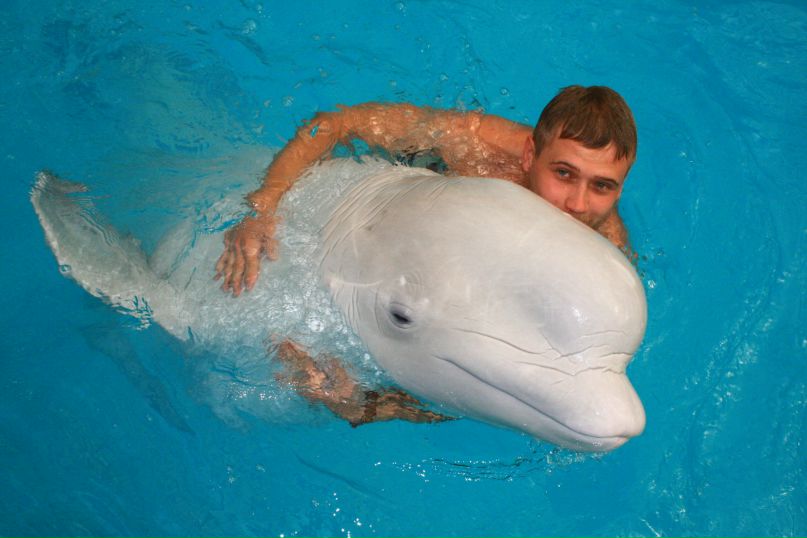 Максим Давидчук фотография #36