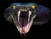 Діма Мазур фотография #20 (источник - https://vk.com/id88741989)