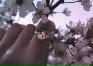 Фотография Дмитриевой Екатерины