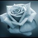 Софія Паращак фотография #31 (источник - https://vk.com/id57737005)