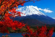 Фотография Колокольцевой Анастасии