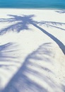 Αнастасия Κузьмина фотография #7 (источник - https://vk.com/id150288586)