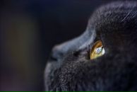 Фотография Барановой Анютки