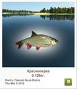 Віталік Дякович фотография #23 (источник - https://vk.com/id70418017)