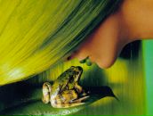 Анні Керч фотография #1