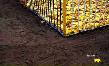 Фотография Алексеевского Владислава