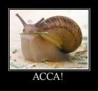 Фотография Шайхутдинова Марата