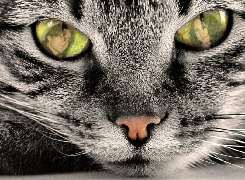 Елена Басарина фотография #31