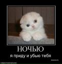 Фотография Лисицыной Натальи