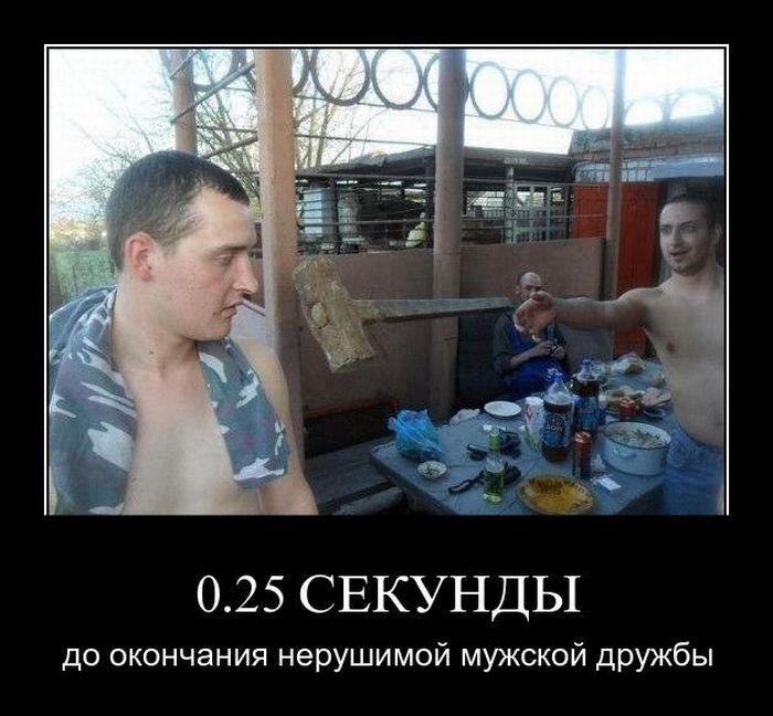 Дмитрий Адаменко фотография #17