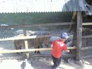 Свєта Бугера фотография #15 (источник - https://vk.com/id155293375)