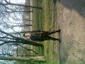 Сергій Чернюк фотография #33 (источник - https://vk.com/id71194886)