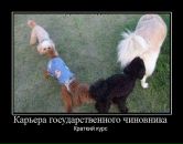 Фотография Корбелайнен Ольги