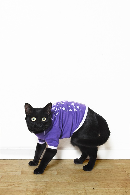 Дарья Joy фотография #18