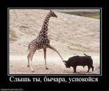 Андрій Гульчук фотография #21 (источник - https://vk.com/id21827585)