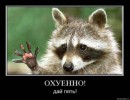 Фотография Согрина Петра