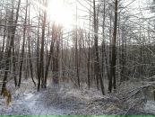 Михайло Сорокін фотография #46 (источник - https://vk.com/id17253856)