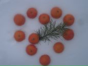 Фотография Маренковой Катерины