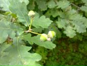 Анна Иванова фотография #36 (источник - https://vk.com/id1762974)