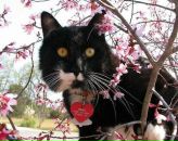 Фотография Валеева Александра