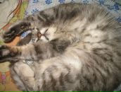 Оксана Сергієнко фотография #21 (источник - https://vk.com/id133393202)