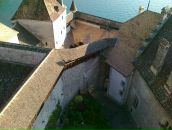 Kot Пушкин фотография #3 (источник - https://vk.com/id6049307)