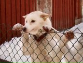 Фотография Атласовой Елены