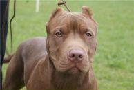 Фотография Карпенко Ильи