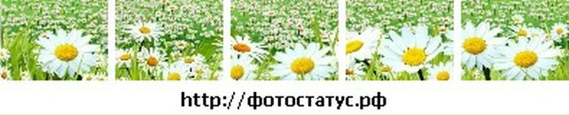 Ліна Болібрух фотография #25 (источник - https://vk.com/id64600387)