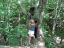 Фотография Гладков Виталий