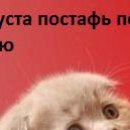 Вероніка Прасол фотография #33 (источник - https://vk.com/id150463864)