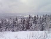 Славік Осташук фотография #26 (источник - https://vk.com/id22375558)