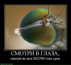 Віталік Петришин фотография #24 (источник - https://vk.com/id35692397)